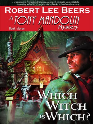 cover image of Which Witch is Which?